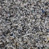 家電などから回収したプラスチック