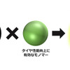 夢の低燃費タイヤの開発につながるバイオポリマーの合成に成功