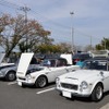 カーフェスティバルin川島