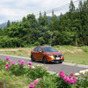 奥飛騨路は街道沿いにしゃくなげの花が咲く。