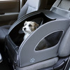 超小型犬＆小型犬には、助手席に設置できるソフトケージ「ペットシートプラスわん2」がおすすめ。ジャックラッセルのナッツは体高35cm×体長45cm、体重5.8kg