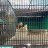 東北サファリパーク