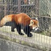 東北サファリパーク