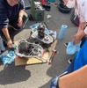 参加車両にトラブルが発生し、トランスミッションを分解する様子