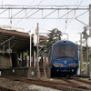 伊豆急観光列車「THE ROYAL EXPRESS」