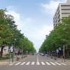 運行コースの日本大通り。写真右手の茶色の建物が発着停留所のTHE BAYS