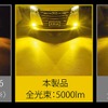 GIGA LEDフォグバルブ F5000S、クラス最高の明るさを実現