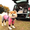 Honda Dogブース（しっぽフェスタ2022）