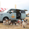Honda Dogブース（しっぽフェスタ2022）