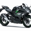 カワサキ Ninja 250（メタリックカーボングレー×メタリックマットカーボングレー）