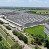 タイ・ノンケー工場 屋上太陽光発電パネルの様子