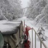 12月25日、釧網本線川湯温泉～緑間の倒木。