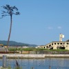 奇跡の一本松（宮城県気仙沼市）