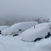 軽油は寒冷地で凍る!? 雪国での駐車時にはワイパーは立てるべき? 冬ドライブ講座【カーライフ 社会・経済学】