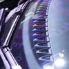 BYDドルフィン（東京オートサロン2023）