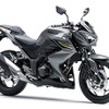 カワサキ Z250 ABS（2017年）