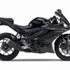 ヤマハ YZF-R25 ABS（ブラック）