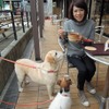青山の愛犬「ララ」