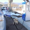 青山の愛犬「ララ」