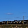 JR草津線 113系「SHINOBI-TRAIN」