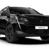 プジョー 3008GT BlueHDi ブラックパック