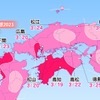 各都市の桜開花予想