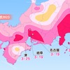 各都市の桜開花予想