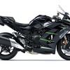 Ninja H2 SX