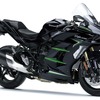 Ninja H2 SX