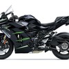 Ninja H2 SX