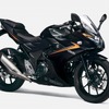 スズキ GSX250R（ブラック）
