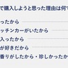 今回キッチンカーで購入しようと思った理由は何ですか？
