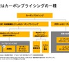 排出権はカーボンプライシングの一種（図1）