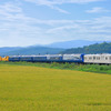 北海道で運行された際の『THE ROYAL EXPRESS』。