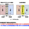図1  液系LIBと全固体電池のモデル（（筆者作成）