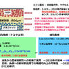図2  全固体電池の開発状況と展望（筆者作成）