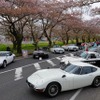桜吹雪と名車の饗宴…オールドカーミーティングin清久さくらまつり