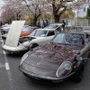 桜吹雪と名車の饗宴…オールドカーミーティングin清久さくらまつり
