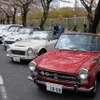 桜吹雪と名車の饗宴…オールドカーミーティングin清久さくらまつり