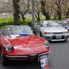 桜吹雪と名車の饗宴…オールドカーミーティングin清久さくらまつり