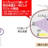 発光機能付きミリ波レーダ対応エンブレム