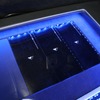 ステップアップの幅が大きくなっていく…トヨタ アクア 後編［カーオーディオ ニューカマー］