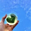 ハートのお茶（土山茶）