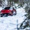 フェラーリ プロサングエ