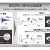 100%モーター駆動にこだわる日産の電動化戦略…日産自動車 パワートレイン・EV技術開発本部 渋谷彰弘氏 平工良三氏［インタビュー］