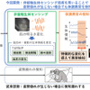 従来技術と今回開発した技術の比較