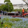 くりはま花の国 横須賀ヒストリックカーデイ8th