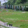 くりはま花の国 横須賀ヒストリックカーデイ8th