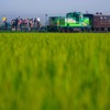 ラベンダー畑駅に停車する『富良野・美瑛ノロッコ号』。同駅は開業した1999年6月からしばらくは普通列車が停車したことがあった。2014年7月29日。