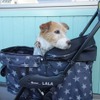 初夏からの愛犬とドライブする時に役立つ神アイテム 2023年度版